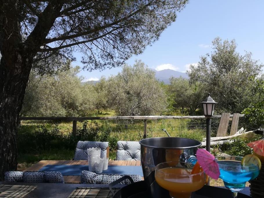 Villa Segreta, Mount Etna Belpasso Εξωτερικό φωτογραφία