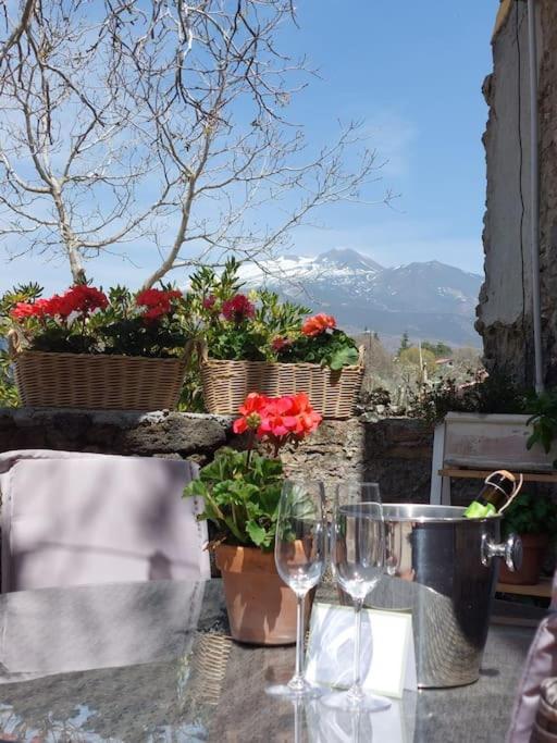 Villa Segreta, Mount Etna Belpasso Εξωτερικό φωτογραφία